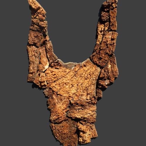 ''Archétype''- Bas et haut relief - peinture et morceaux de bois brut naturel extraits d'un tronc en décomposition d'un Pin d'Alep -sur panneau de bois-130 x100 x12 cm- 