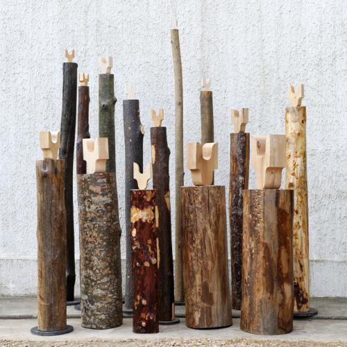 installation ''La FORET'' - SILVA FORESTIS - 14 totems coeurs d'arbres- H 130 à 230 cm + essences troncs diverses