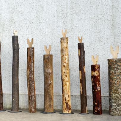 installation ''La FORET'' - SILVA FORESTIS - 14 totems coeurs d'arbres- H 130 à 230 cm + essences troncs diverses