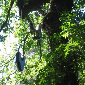 Installation ''Portraits'' peinture - résine -  jante alu - dimensions variables- 65x65x12cm pour chaque pièce