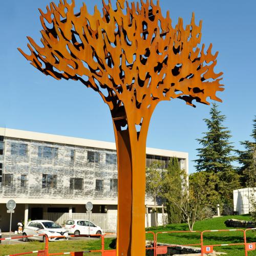 Sculpture ''le Pin parasol'' - acier corten- 6 mètres de hauteur- oeuvre de la série''les Arbres de JORDI'' - Commande du CD 34-