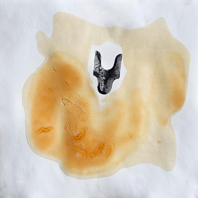 Petit format D - série '' Les Ruches'' dite '' Queen Bee House '' - miel + mixte -30 x 30 cm.