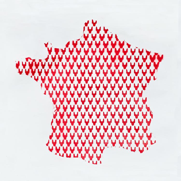  série ''Carte de France'' - ''La France R/B'' - peinture sur papier - 150 x 150 cm