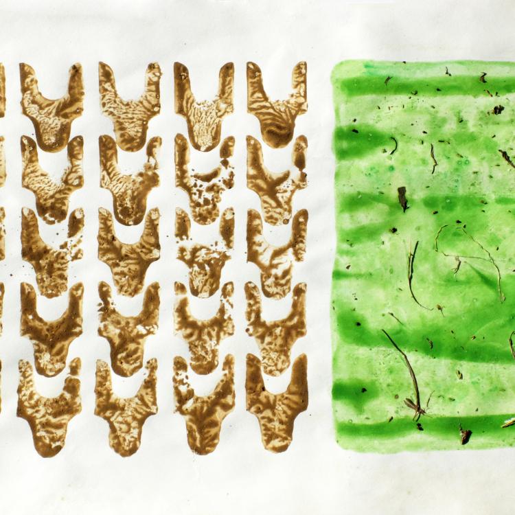  « ST-P1126 a » série ''Jachère'' - terre et herbes + peinture sur papier - 70 x100 cm