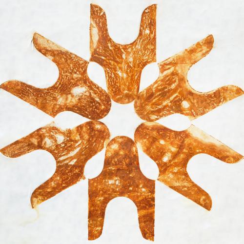 '' Fleur de rouille '' - série ''Rouille''sur toile 6GF- empreintes ici Forme de 1993- 210 x 210 cm