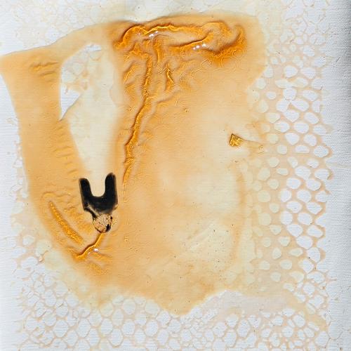 Petit format F - série '' Les Ruches'' dite '' Queen Bee House '' - miel + mixte -30 x 30 cm.