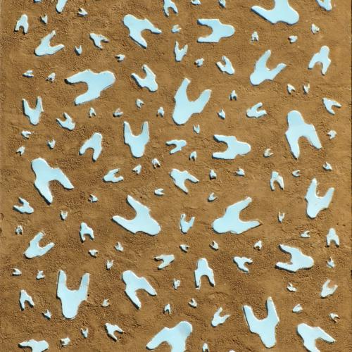 '' ST- P138 '' de la série terre crue sur extrudé sculpté- 120x60x2 cm ou 60x120x2 cm