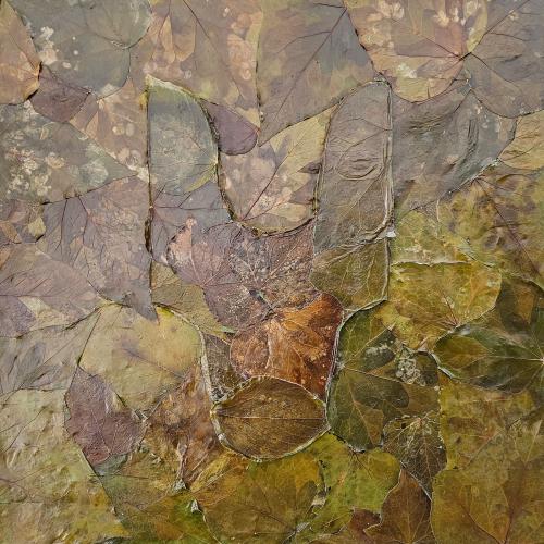 oeuvre de la série Nature-nature ''Végétaux''- feuilles de lierre sur toile - 70x70 cm