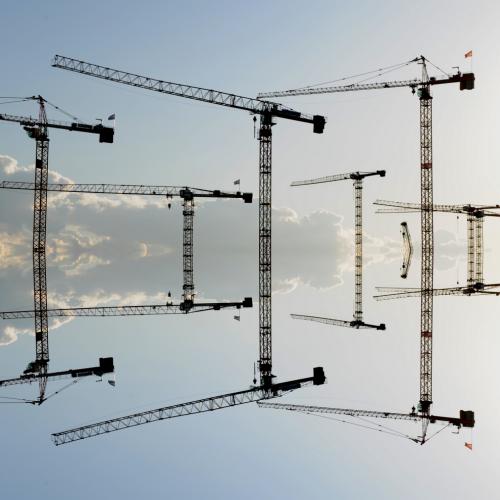 ''ST-PH 1645D'' - les Grues - Photographie en digigraphie -56x60cm - Ed.3