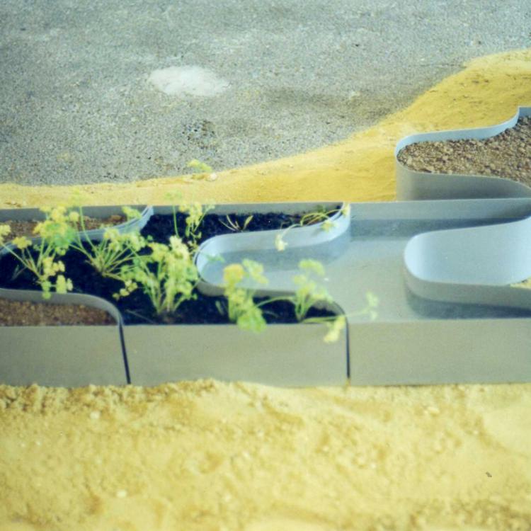 Installation de « PETITS JARDINS »  intérieur /extérieur) ici 20 pièces contenantes - contenus divers- peintes en gris – Tôle métal 10/10°- 57x35x12 cm pour chaque module [série limitée à 99 pièces de cette même dim. compositions diverses intérieur/extérieur ].