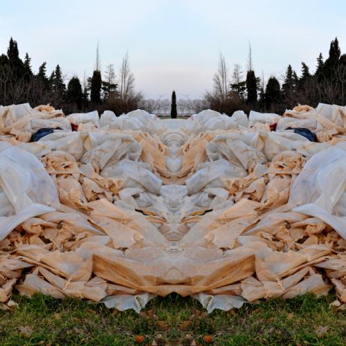 ''NP-7269'' de la série ''Nature / plastique'' - 50x95 cm - éd.5