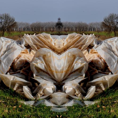 ''NP-4722'' de la série ''Nature / plastique'' - 50x150 cm - éd. 5