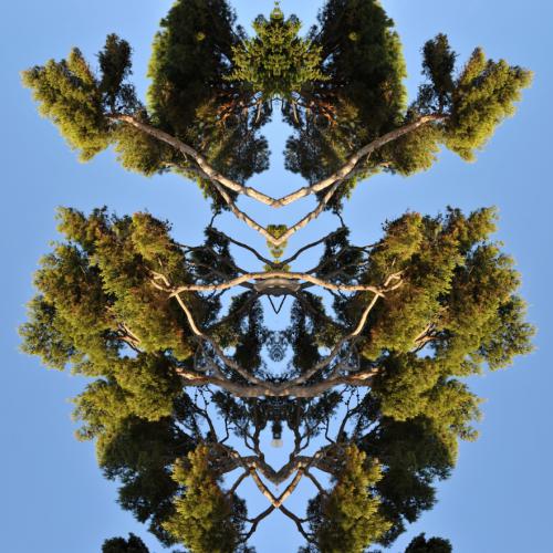 ''ST-PH 5986'' de la série ''Paysages Mutants'' - 72x96 cm - éd. 3