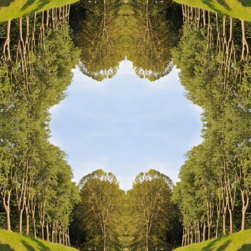 ''ST-PH 6145'' de la série ''Paysages Mutants'' - 83x102 cm- éd.3