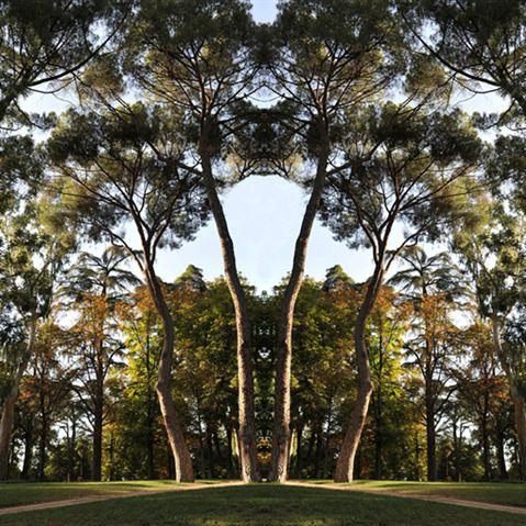 ''ST-PH 2341'' de la série ''Paysages Mutants'' - 70x93 cm - éd. 3