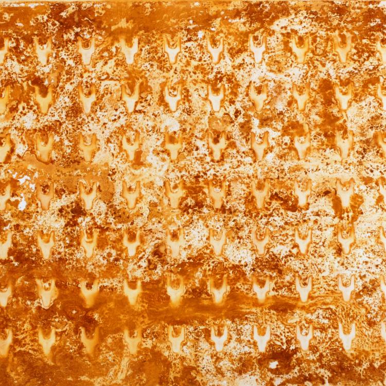 œuvre/papier de la série Papiers rouillés 